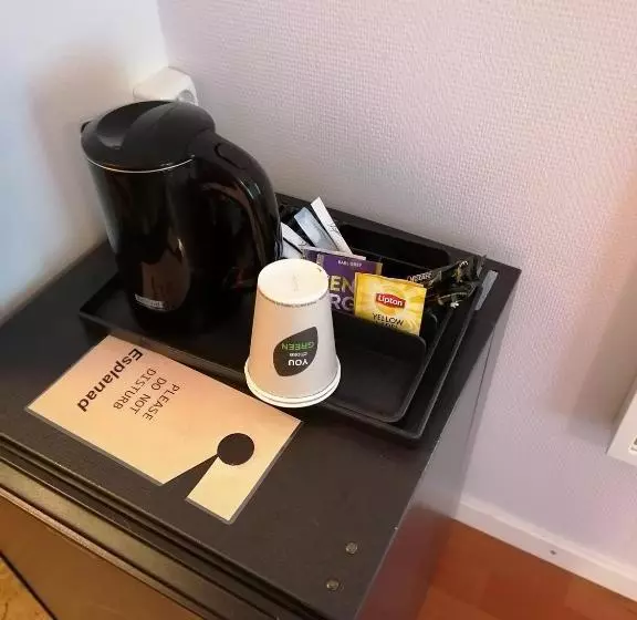 בית מלון כפרי Esplanad