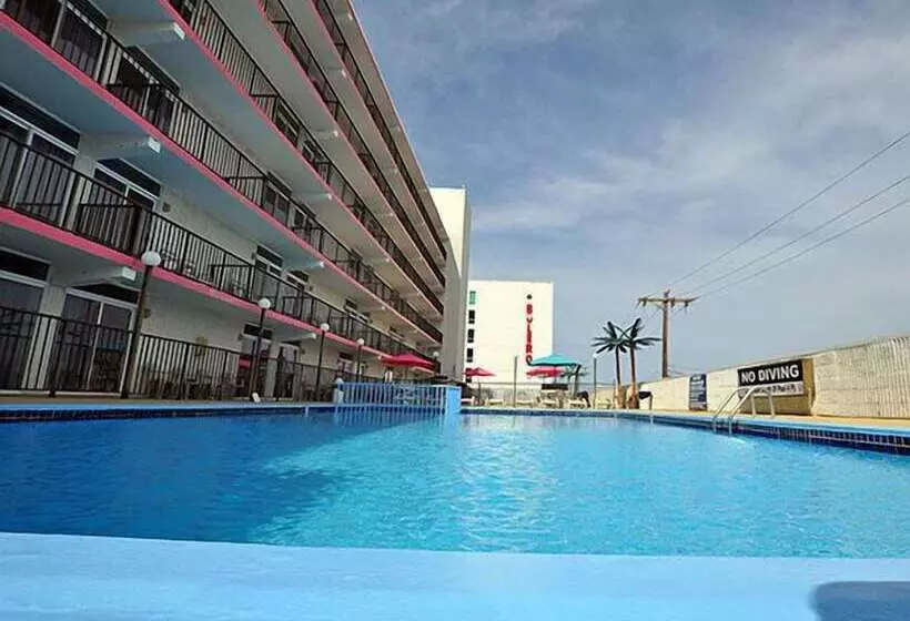 ホテル Beach Terrace Motor Inn