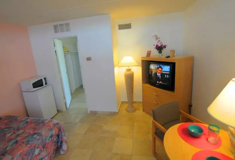 ホテル Beach Terrace Motor Inn
