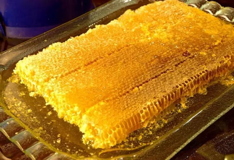 Radisson Hotel President Old Town Istanbul