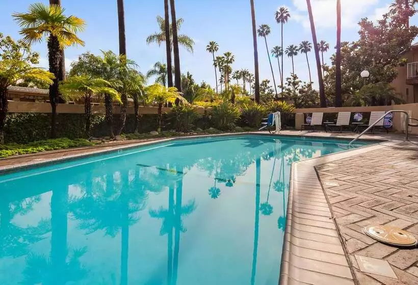 Best Western Pine Tree Motel