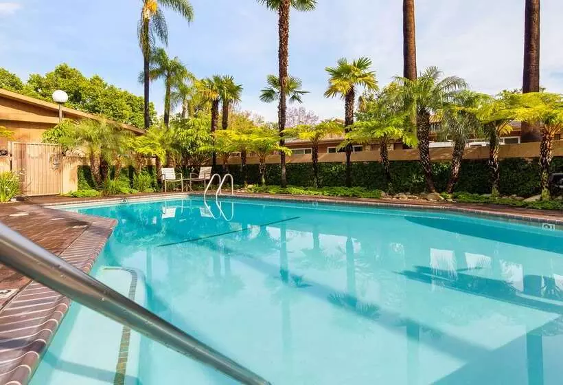 Best Western Pine Tree Motel