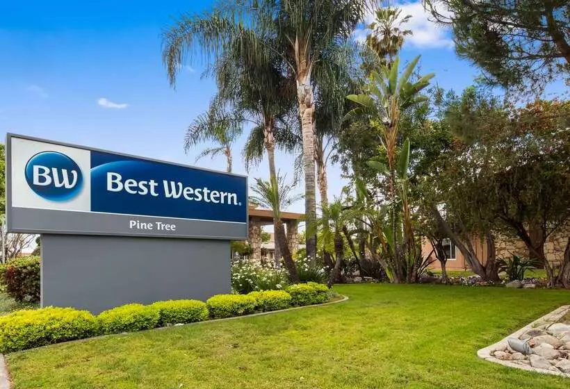 Best Western Pine Tree Motel