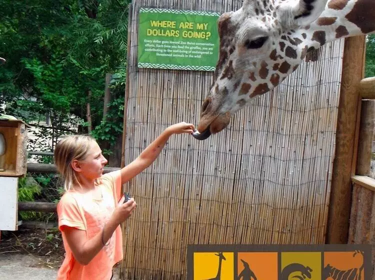 Отель Airport Inn