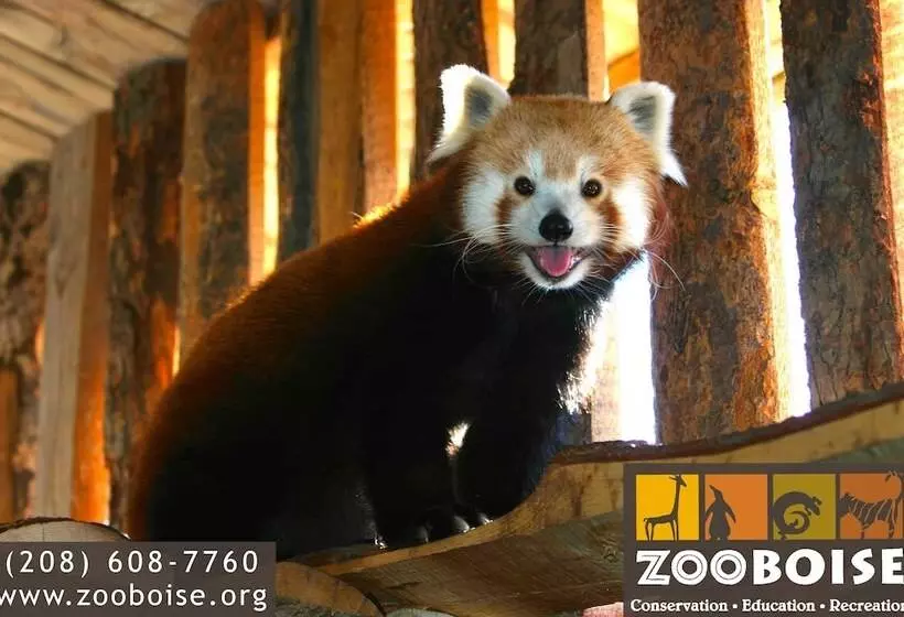 Отель Airport Inn