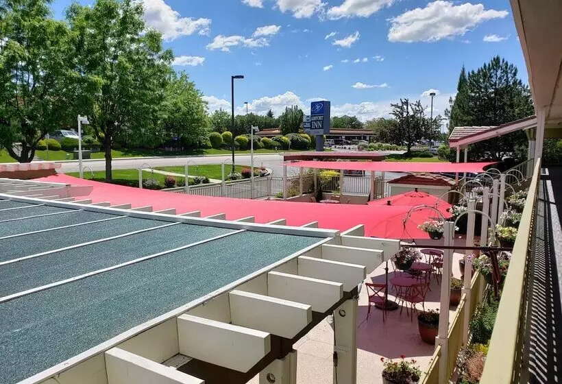 Отель Airport Inn