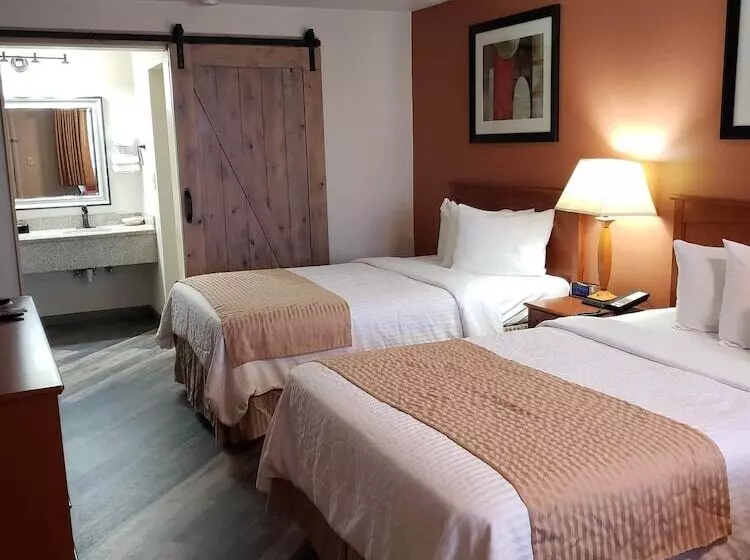 Отель Airport Inn