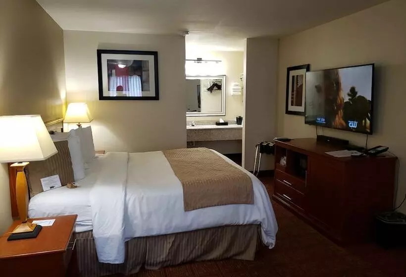 Отель Airport Inn