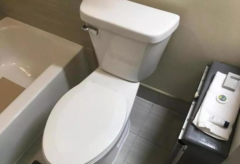 Bellevue Hotel And Suites