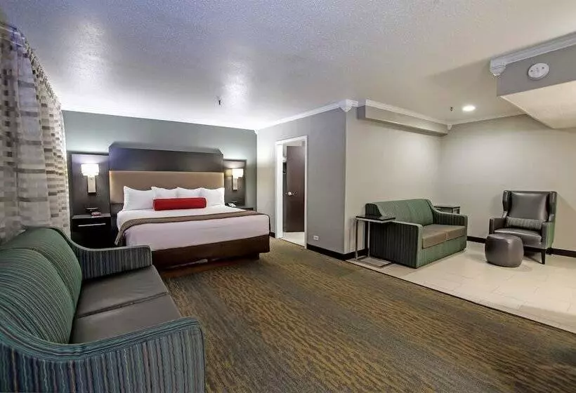 酒店 Best Western At Ohare