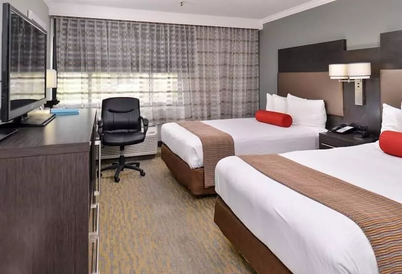 酒店 Best Western At Ohare