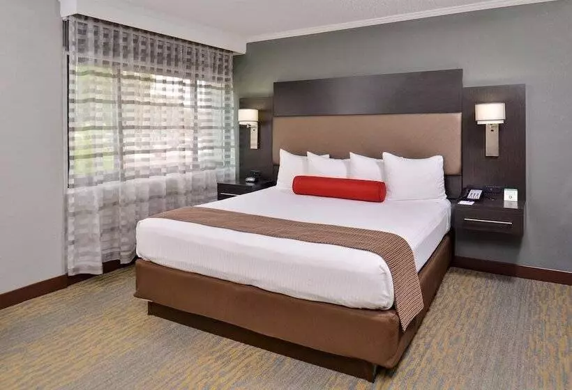 酒店 Best Western At Ohare