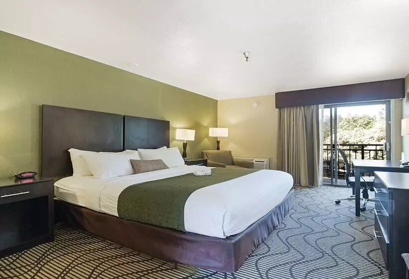 בית מלון כפרי Best Western Gold Country Inn