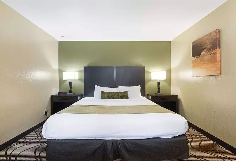 בית מלון כפרי Best Western Gold Country Inn