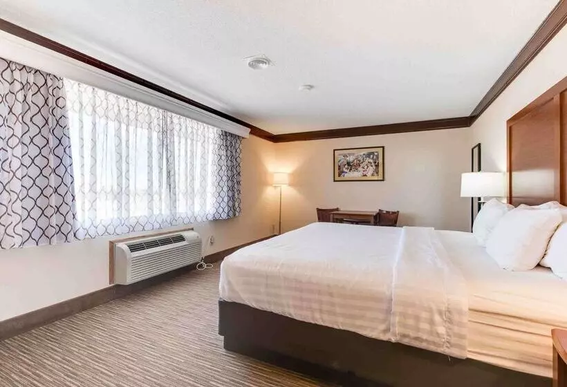 호텔 Best Western Movie Manor