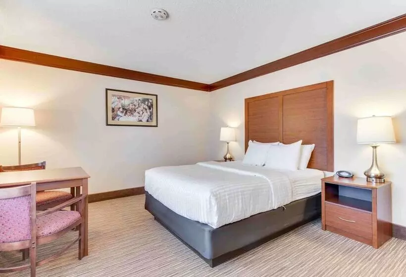 호텔 Best Western Movie Manor