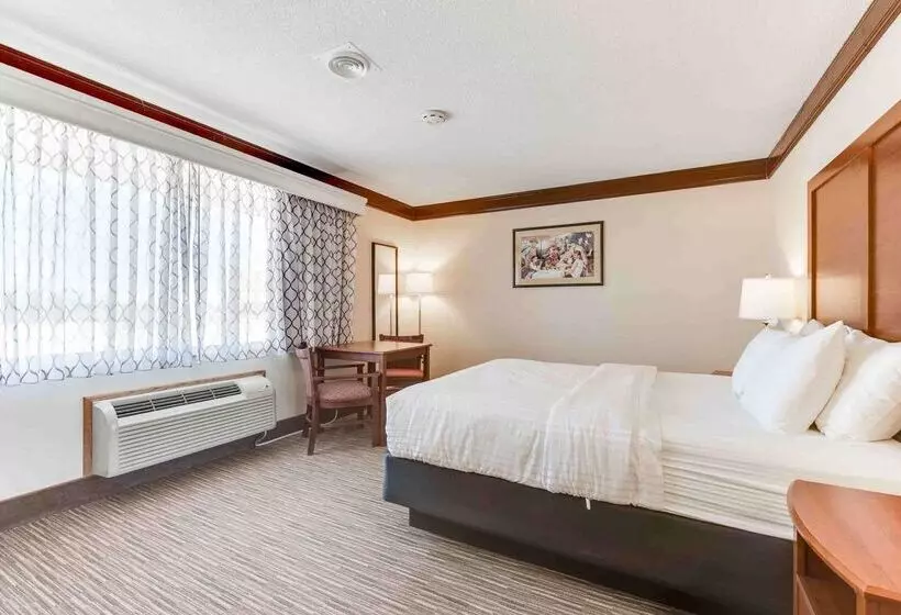 호텔 Best Western Movie Manor