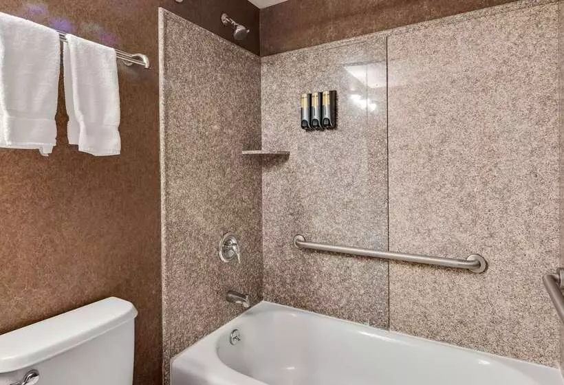 Hotel Best Western Plus Morristown Inn