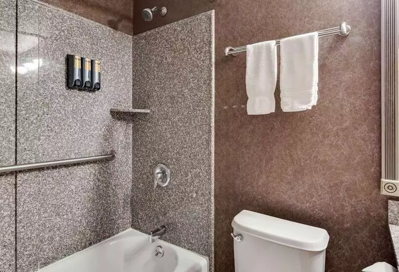 Hotel Best Western Plus Morristown Inn