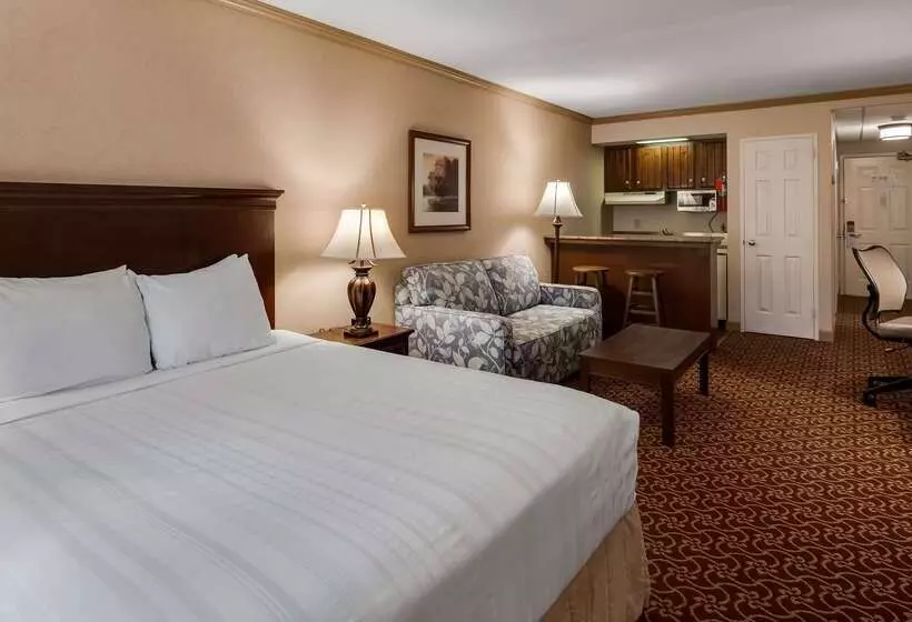 Hotel Best Western Plus Morristown Inn