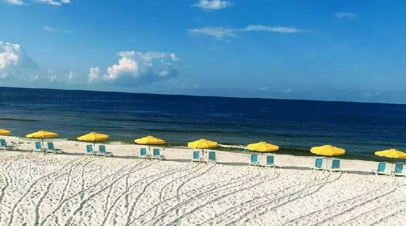 Отель Casa Loma Panama City Beach   Beachfront