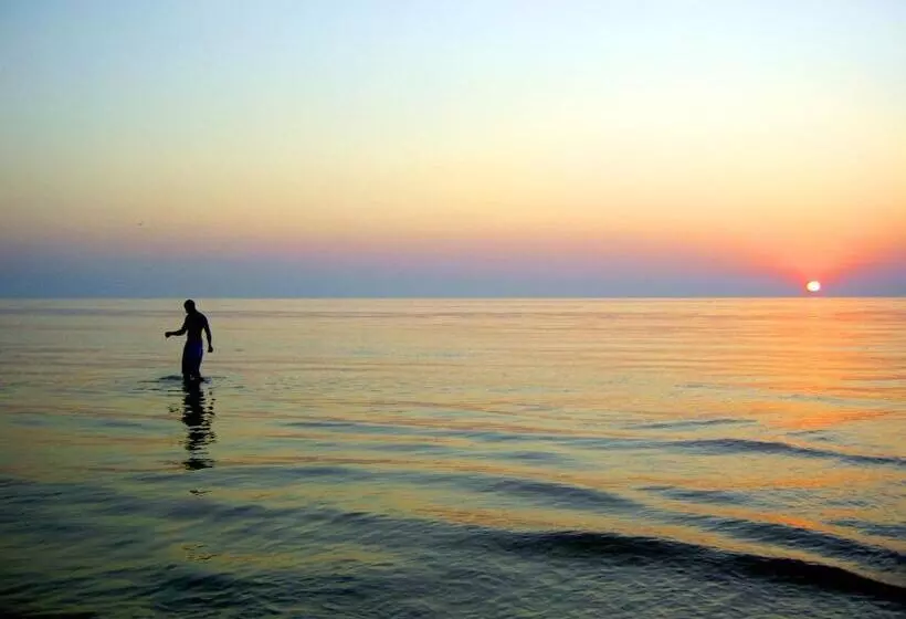 Отель Casa Loma Panama City Beach   Beachfront