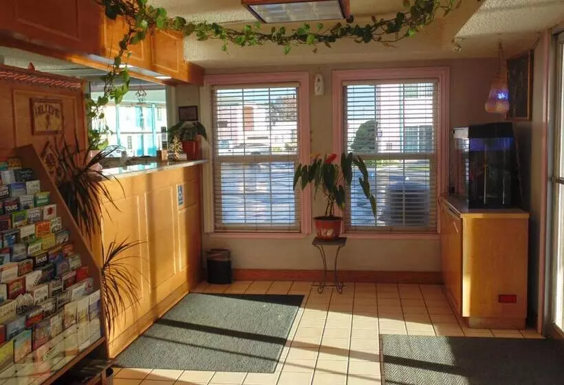 酒店 Inns Of California Salinas