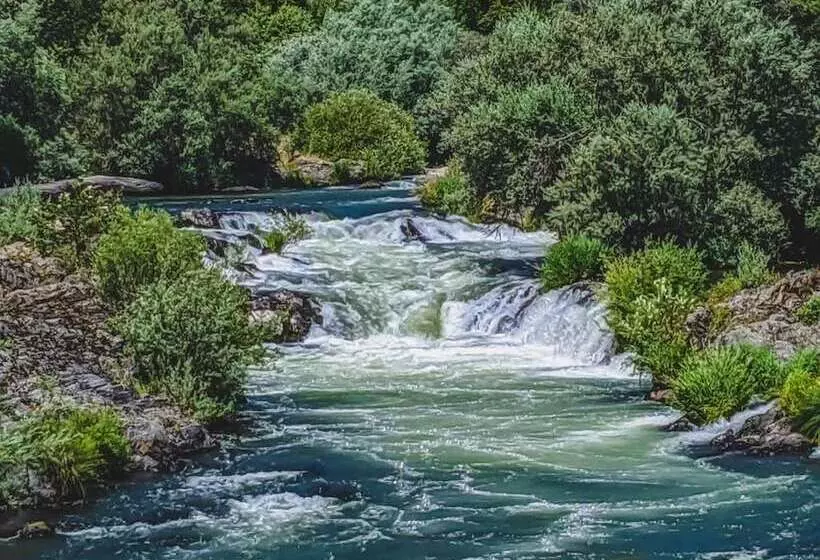 Отель Oakridge Inn & Suites