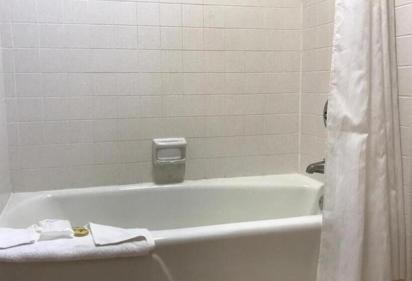 هتل Olive Tree Inn & Suites