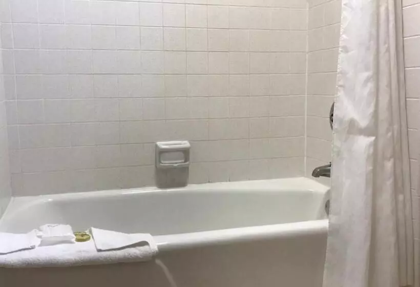 호텔 Olive Tree Inn & Suites