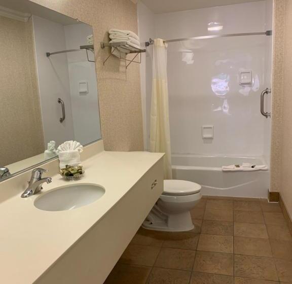 هتل Olive Tree Inn & Suites