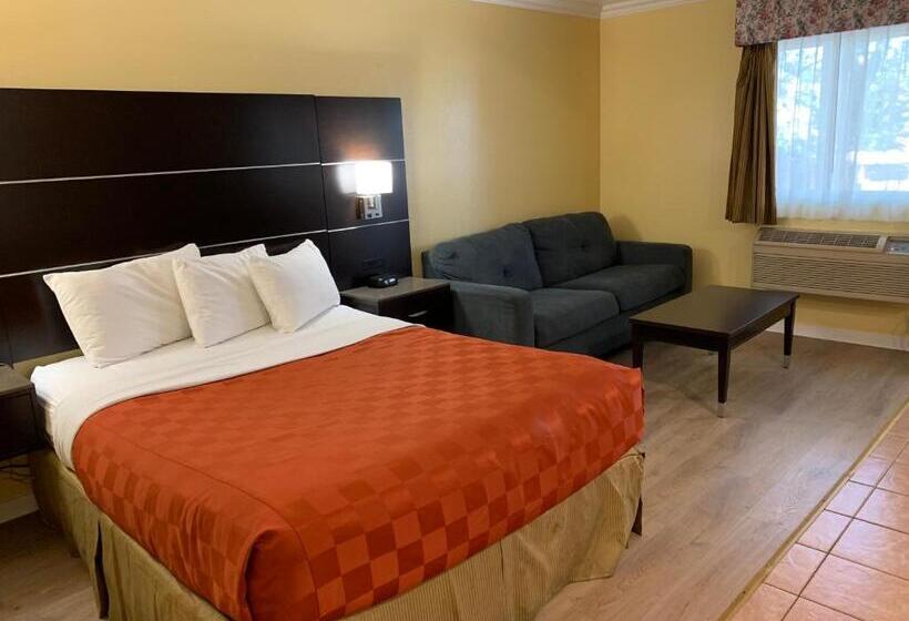 هتل Olive Tree Inn & Suites