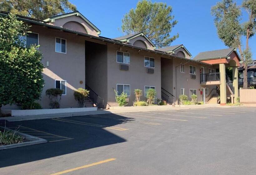 هتل Olive Tree Inn & Suites