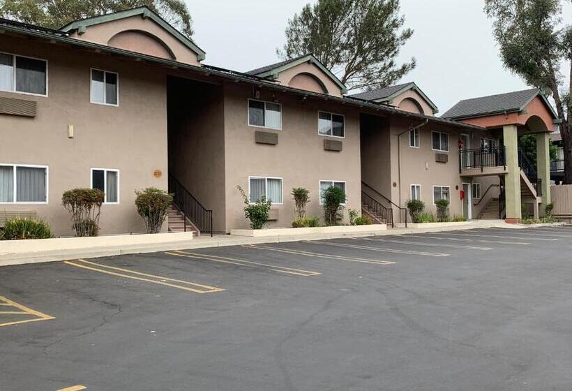 هتل Olive Tree Inn & Suites