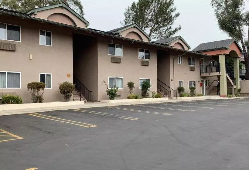 호텔 Olive Tree Inn & Suites