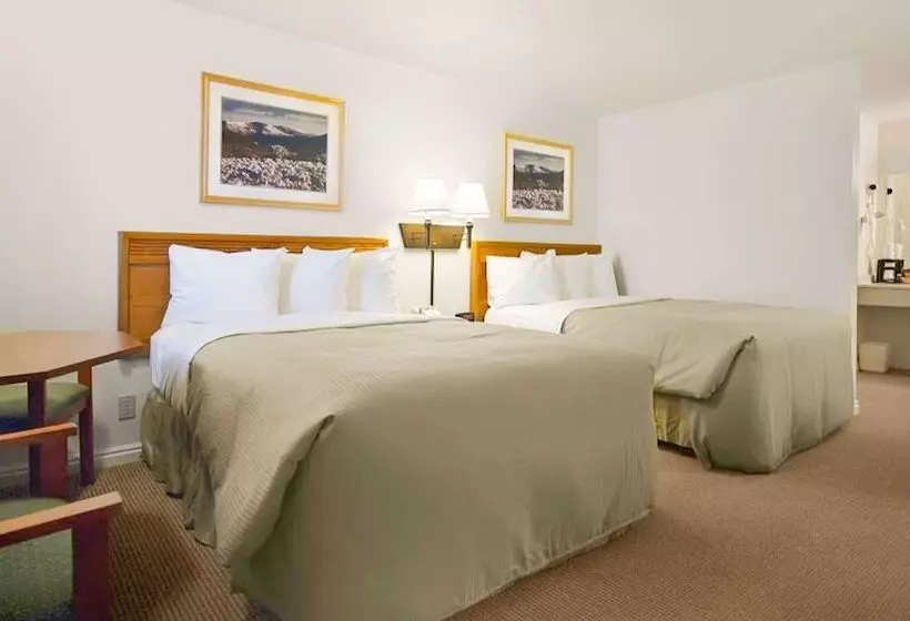 모텔 Magnuson Hotel Park Vue