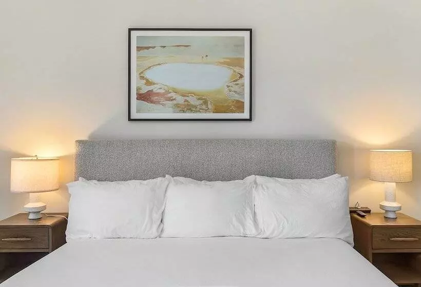 渡假胜地  Papago Motor