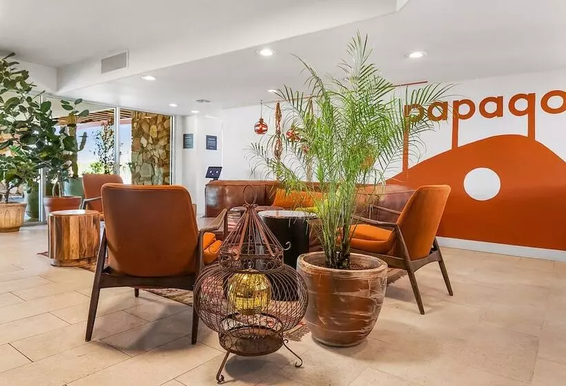 渡假胜地  Papago Motor