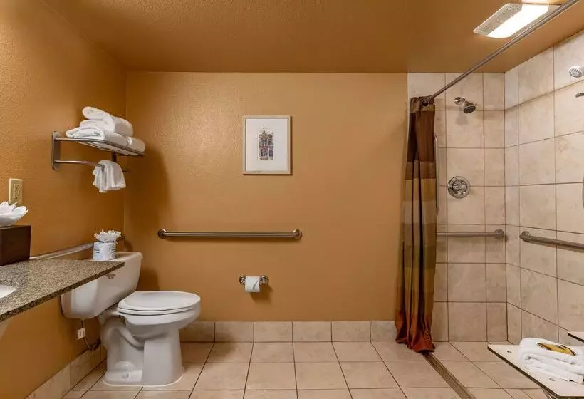 酒店 Best Western Plus Garden Court Inn