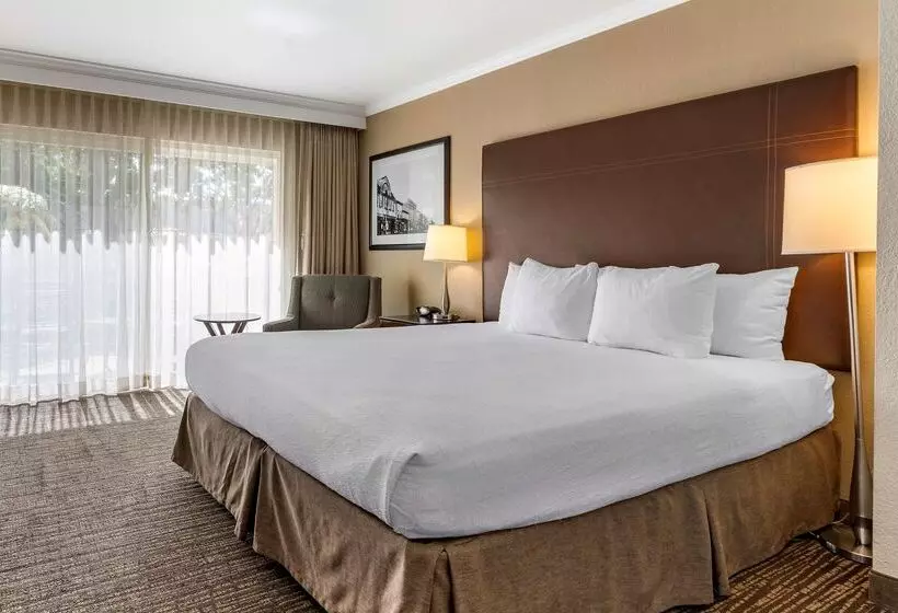 酒店 Best Western Plus Garden Court Inn