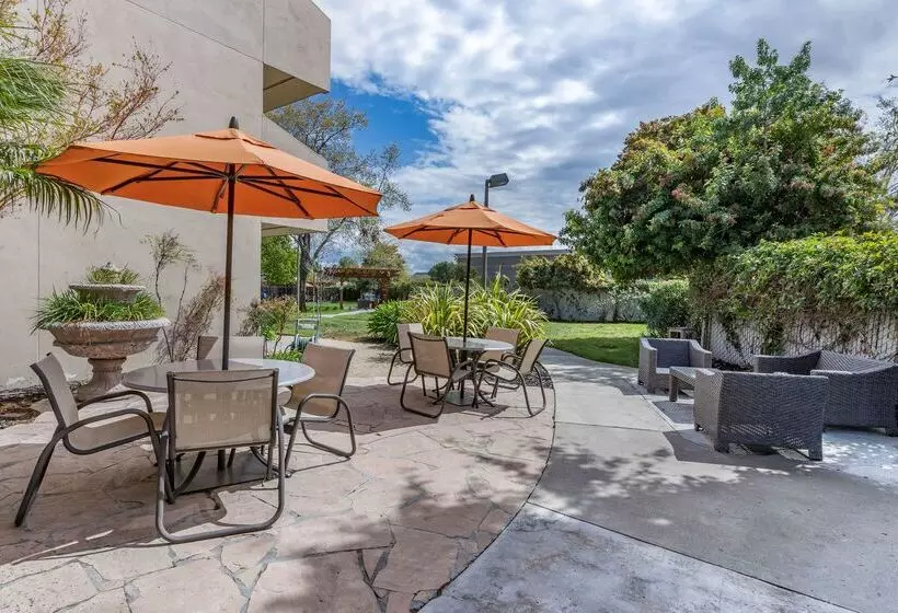 酒店 Best Western Plus Garden Court Inn