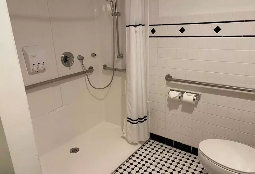 هتل Best Western Chicago Downtown River North