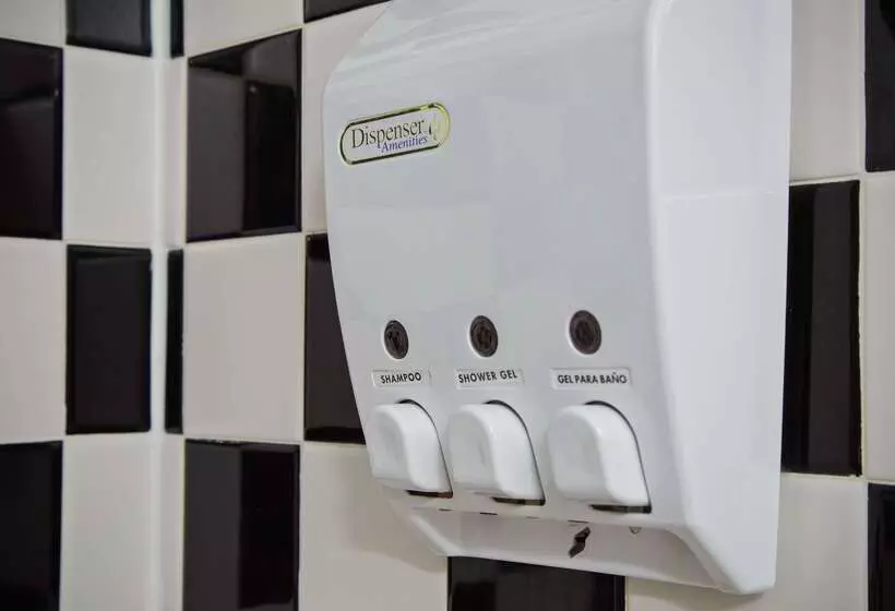 هتل Best Western Chicago Downtown River North