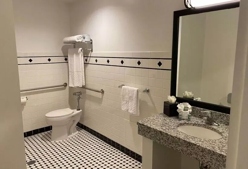 هتل Best Western Chicago Downtown River North