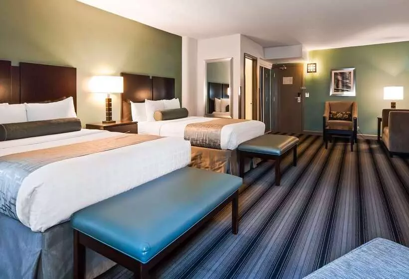 هتل Best Western Chicago Downtown River North