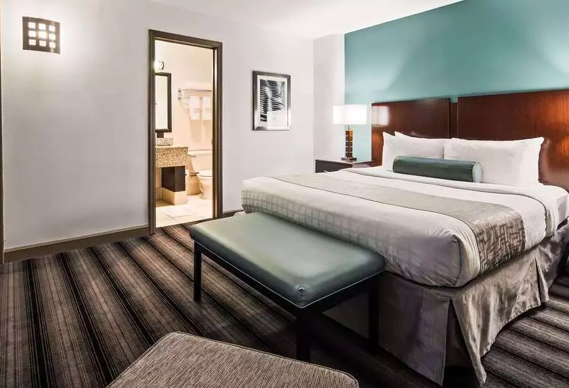 هتل Best Western Chicago Downtown River North