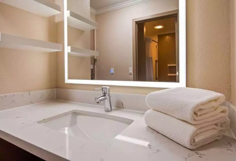 Отель Best Western Silicon Valley Inn