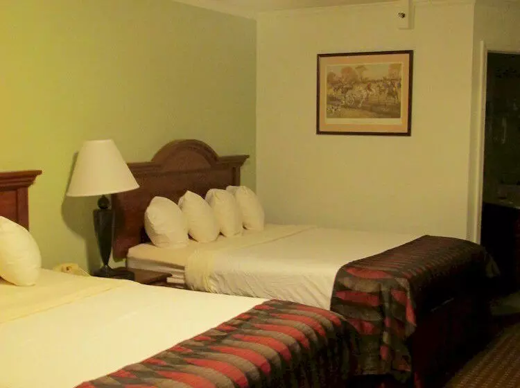 Hotel White Columns Inn