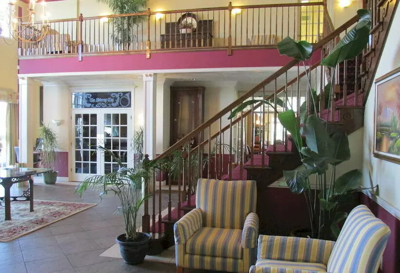 Hotel White Columns Inn