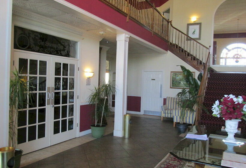 בית מלון כפרי White Columns Inn
